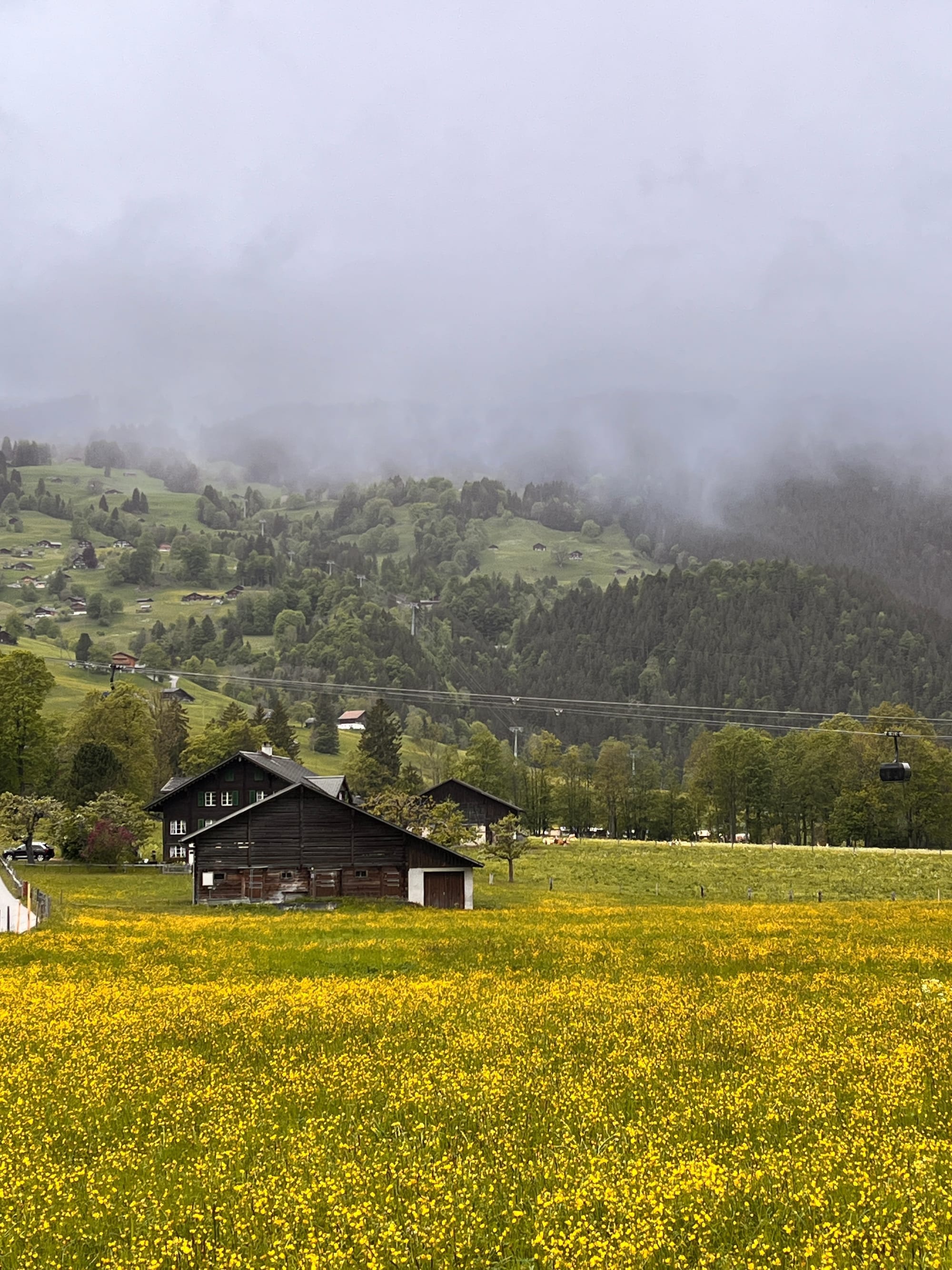 North face of the Eiger from Grindelwald Grund